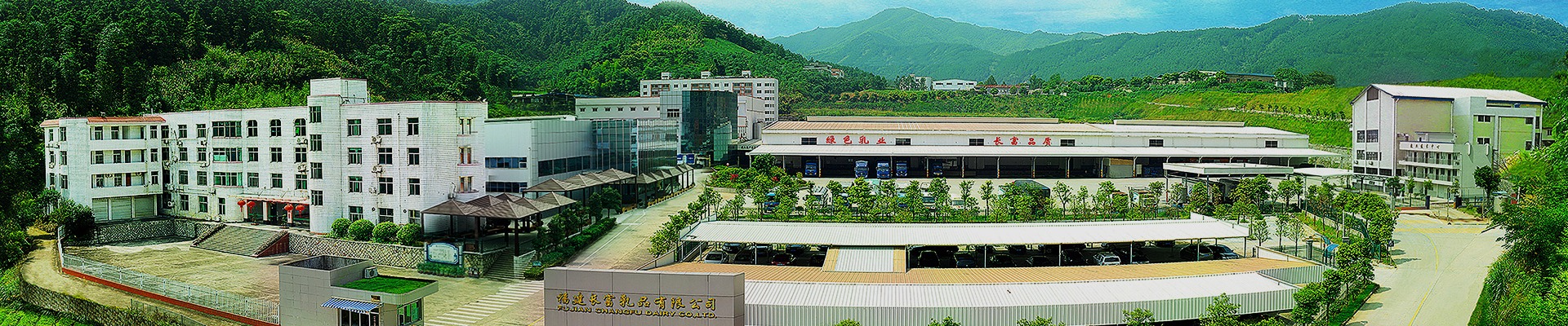 走进冰球突破官网