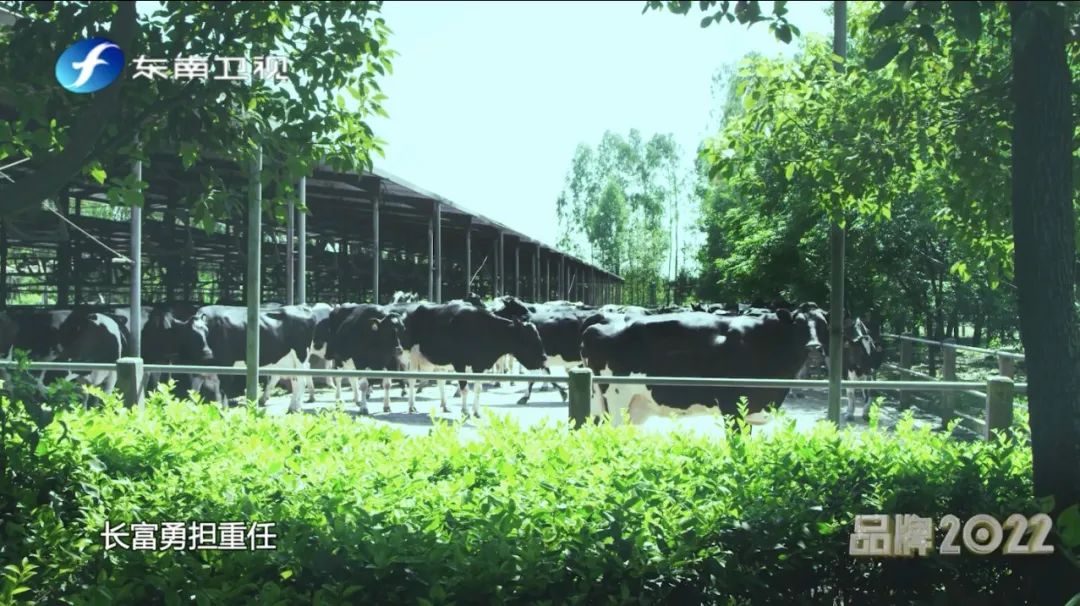 冰球突破(中国)有限公司官网